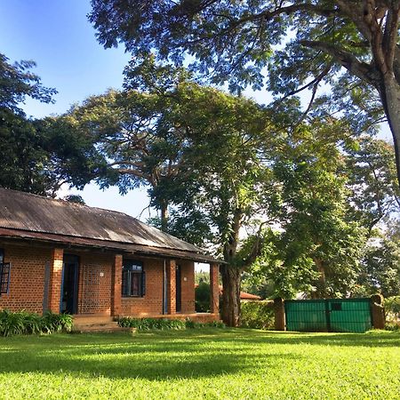 Africawildtruck Eco Camp & Lodge Mulanje Esterno foto