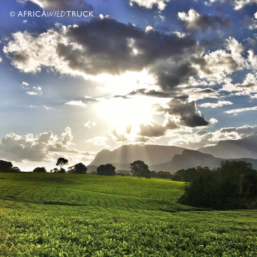 Africawildtruck Eco Camp & Lodge Mulanje Esterno foto